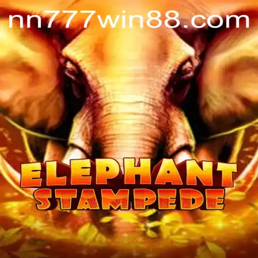 The Thrilling World of ElephantStampede